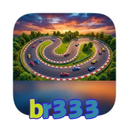 br333